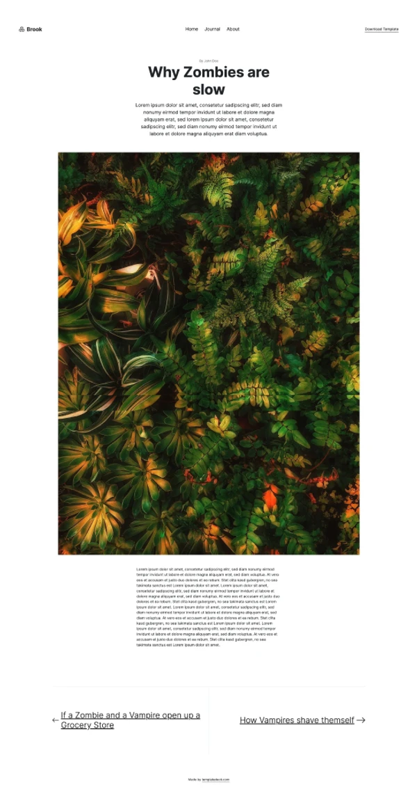 BROOK template preview 4